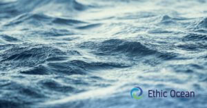 Ethic Ocean et des restaurateurs engagés